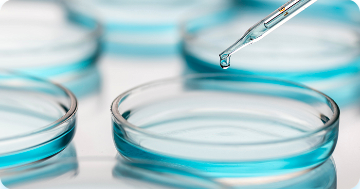 Завершена III фаза клинических исследований лекарственного препарата ДИМОЛЕГИН® в травматологии и ортопедии